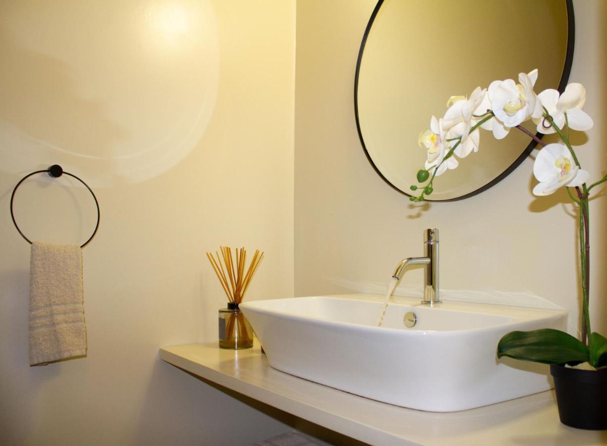 Dolfin Apartment * * * * * トレヴィーゾ エクステリア 写真